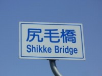 shikke_06